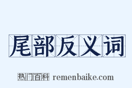 尾部反义词是什么意思的图片